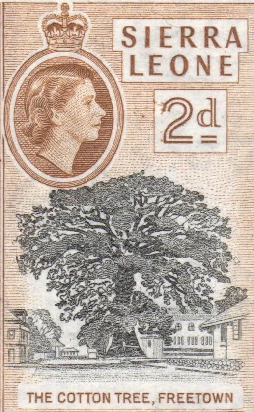 The Cotton Tree, Freetown, twopence