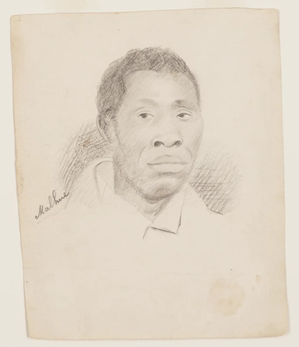 Malhue