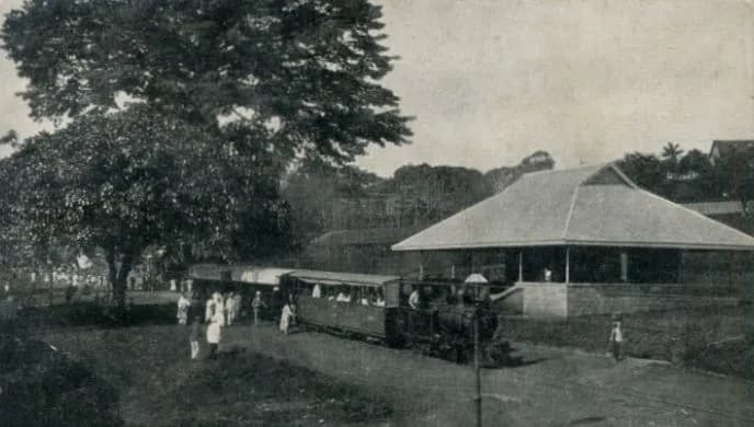 The Cotton Tree, Bungalow Train