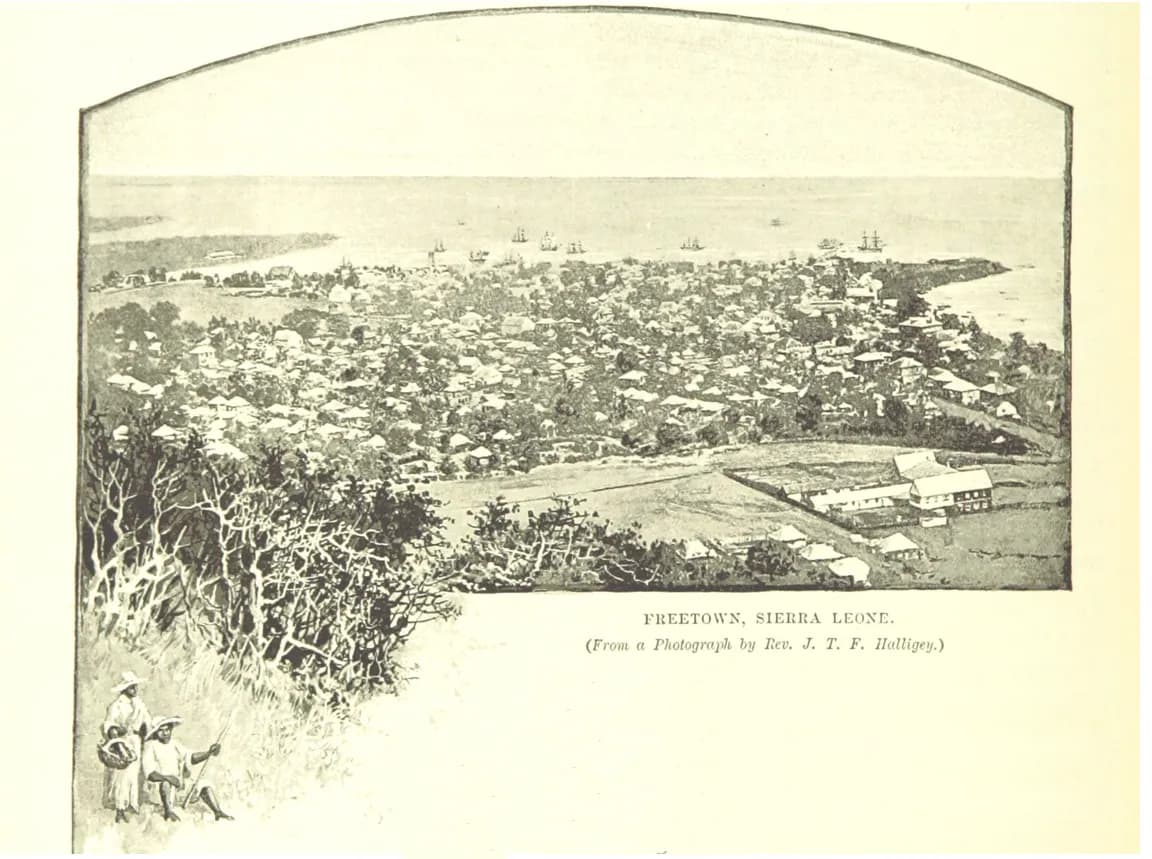 Freetown from the hills