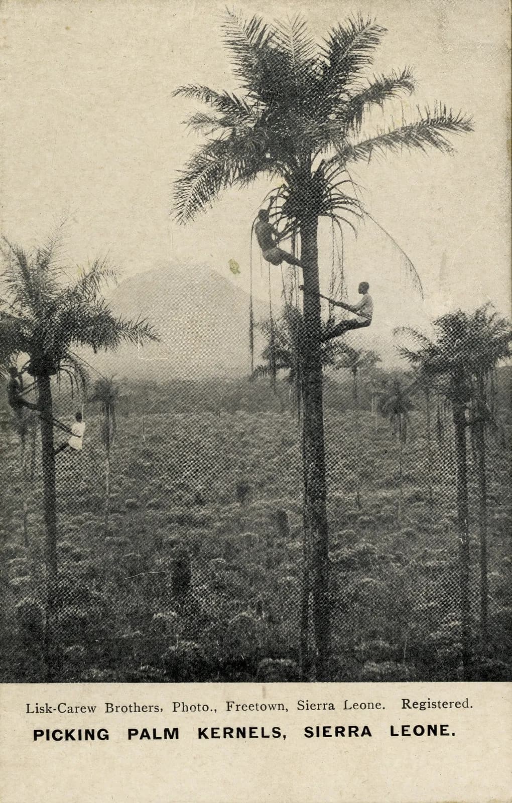 SierraLeoneP012