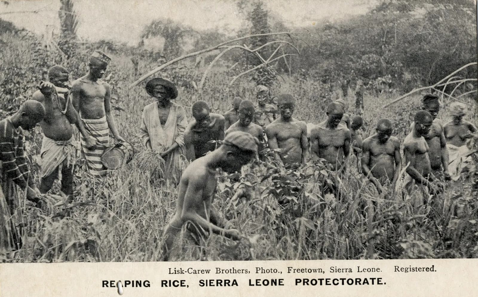 SierraLeoneP014