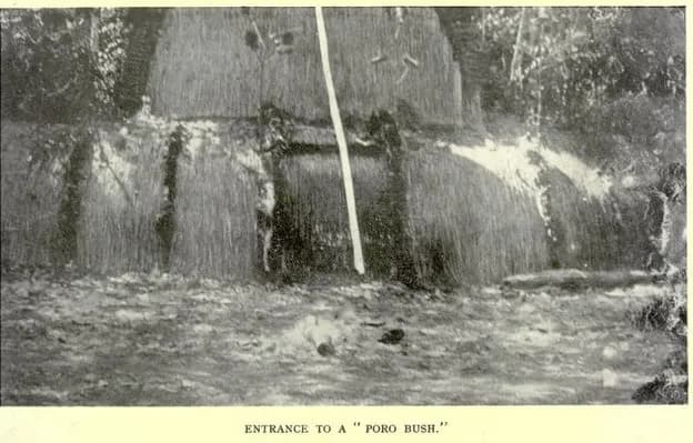BEATTY(1915) Fig06 Entrance to a PORO BUSH