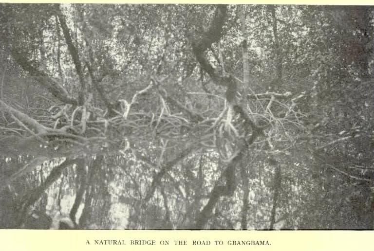BEATTY(1915) Fig14 A natural Bridge on the road to Gbangbama