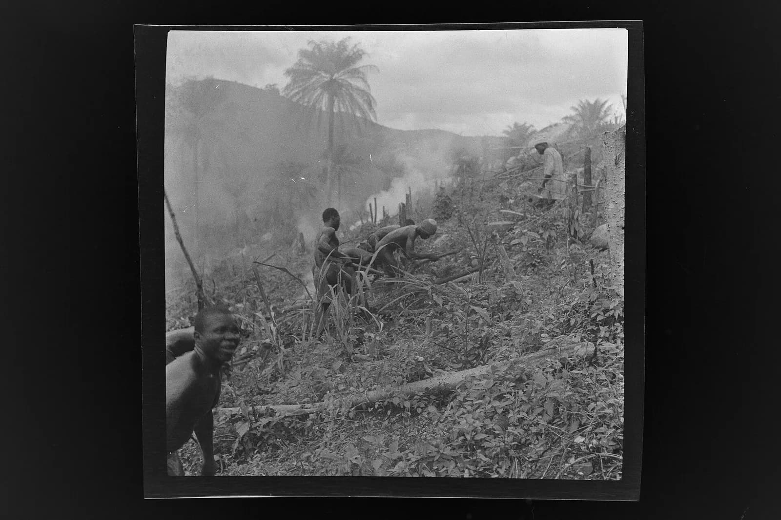 SierraLeone Hofstra 100