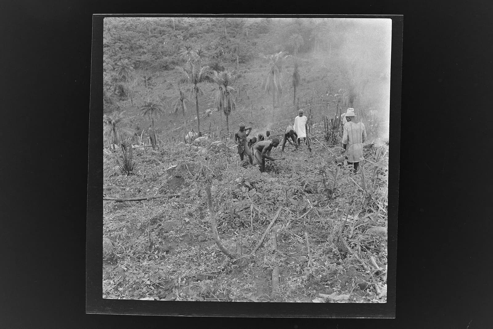 SierraLeone Hofstra 103