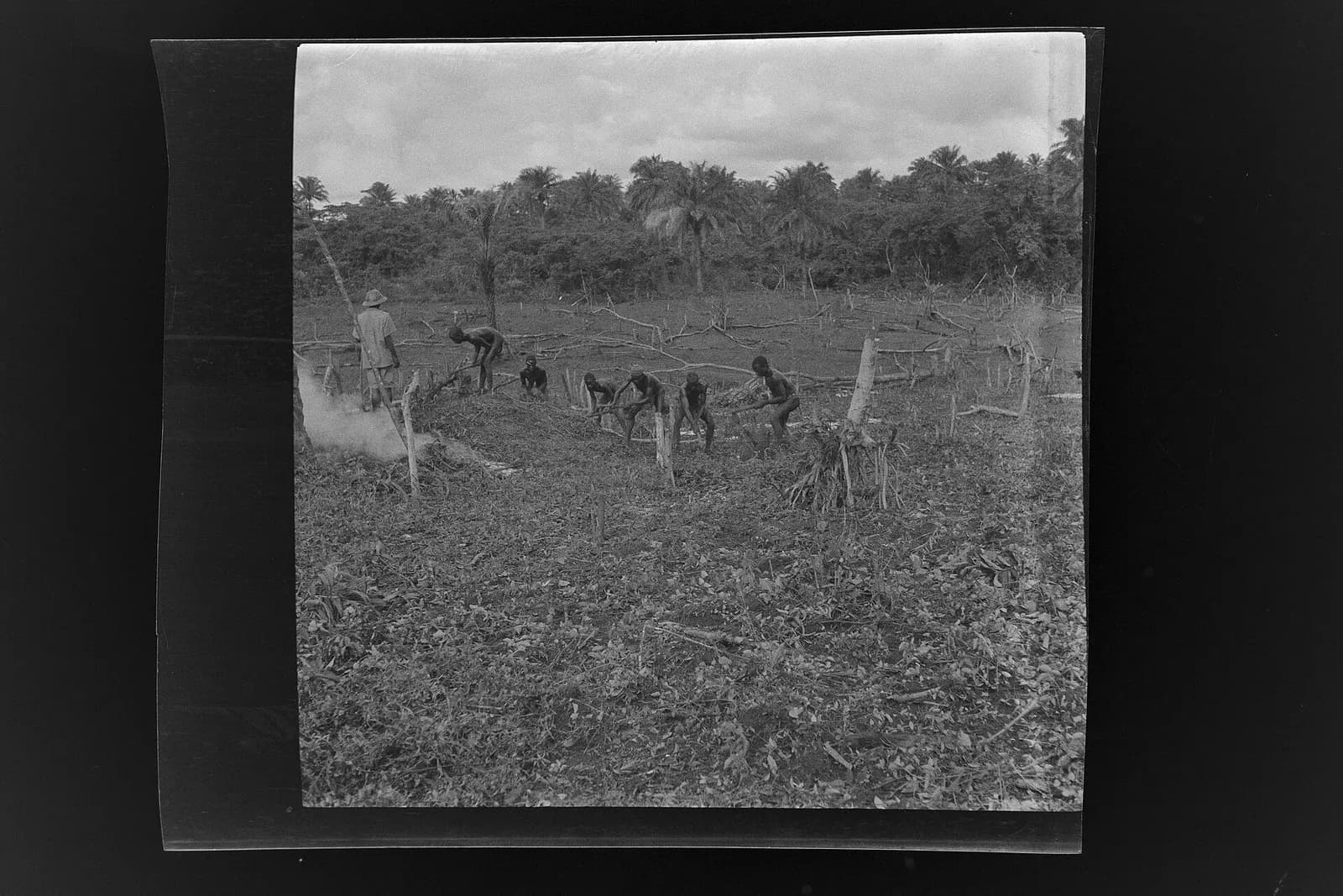 SierraLeone Hofstra 108