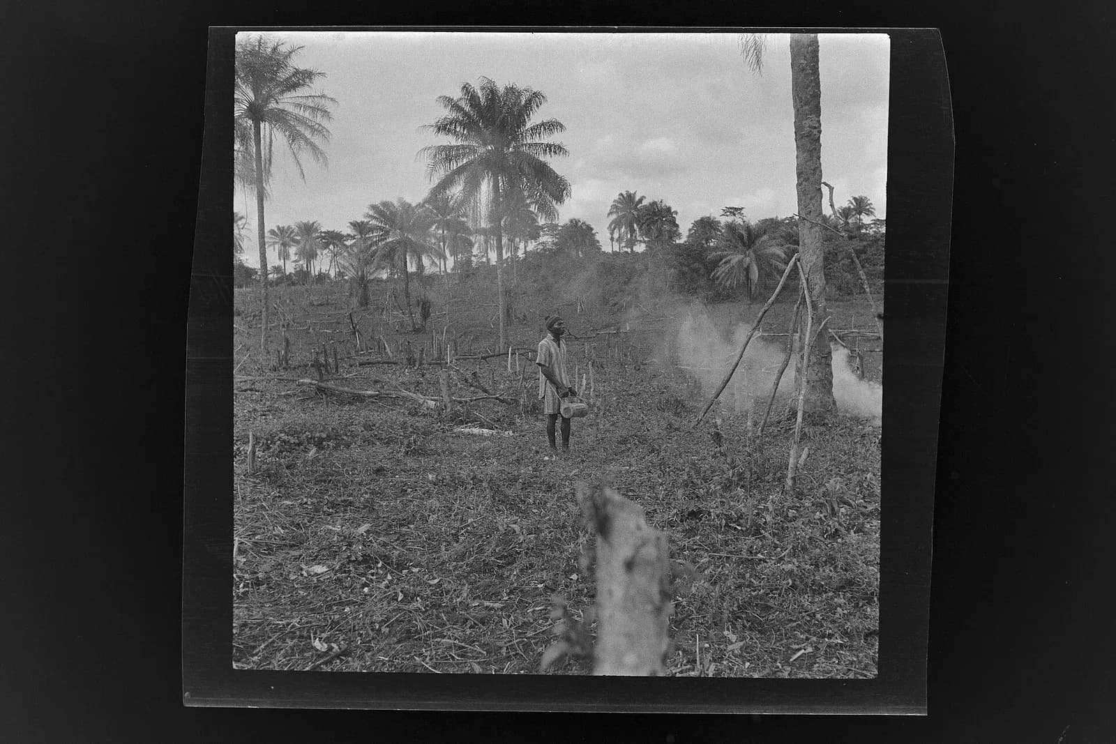 SierraLeone Hofstra 107