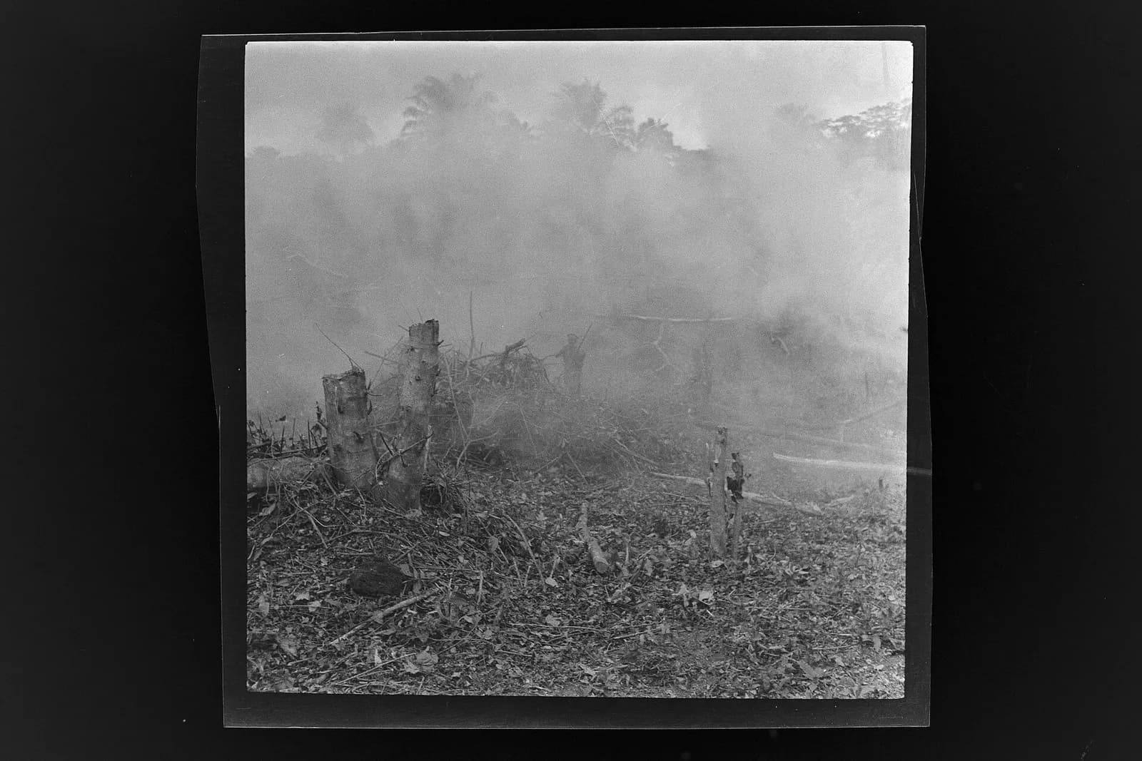 SierraLeone Hofstra 109