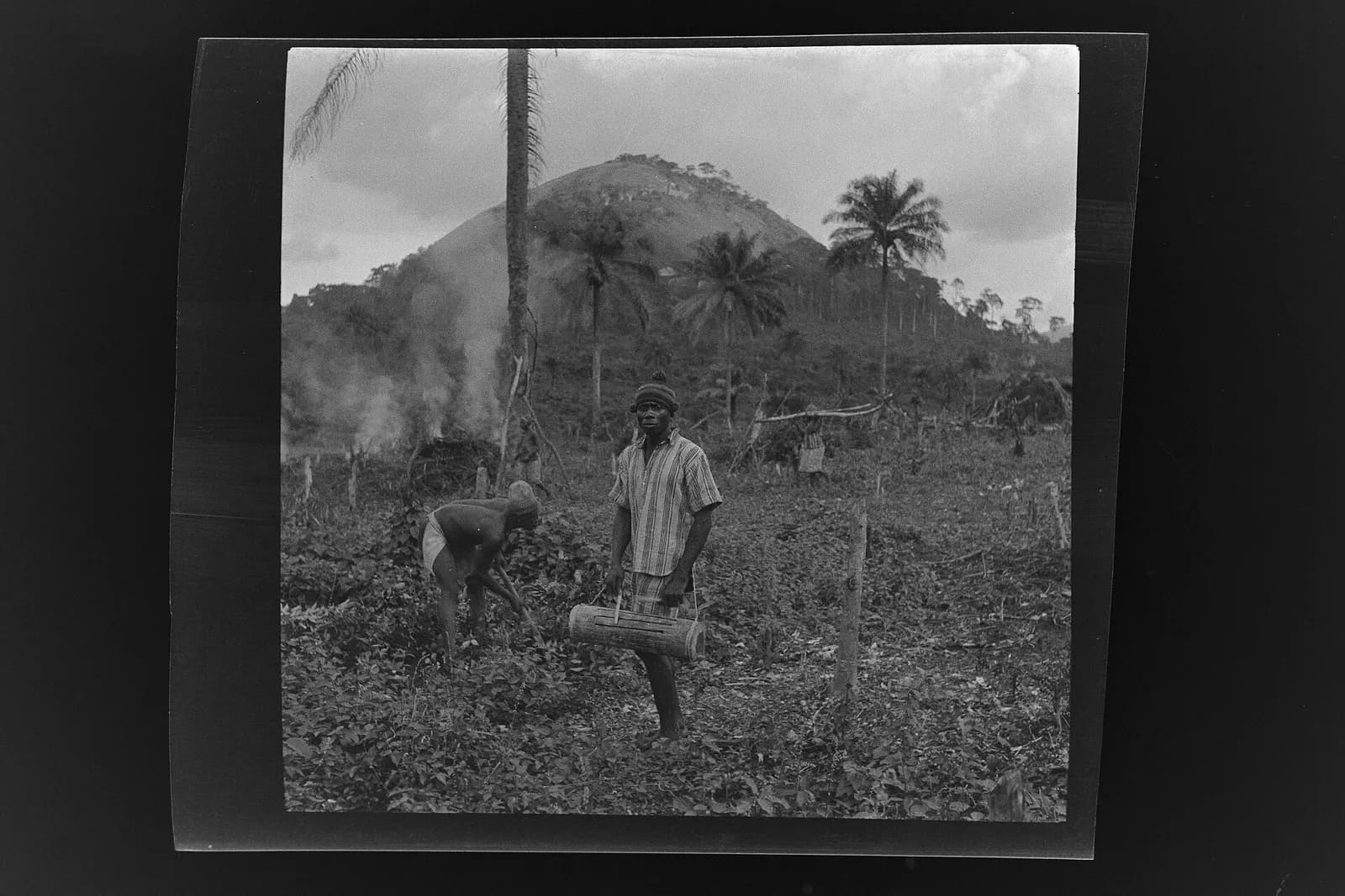 SierraLeone Hofstra 110