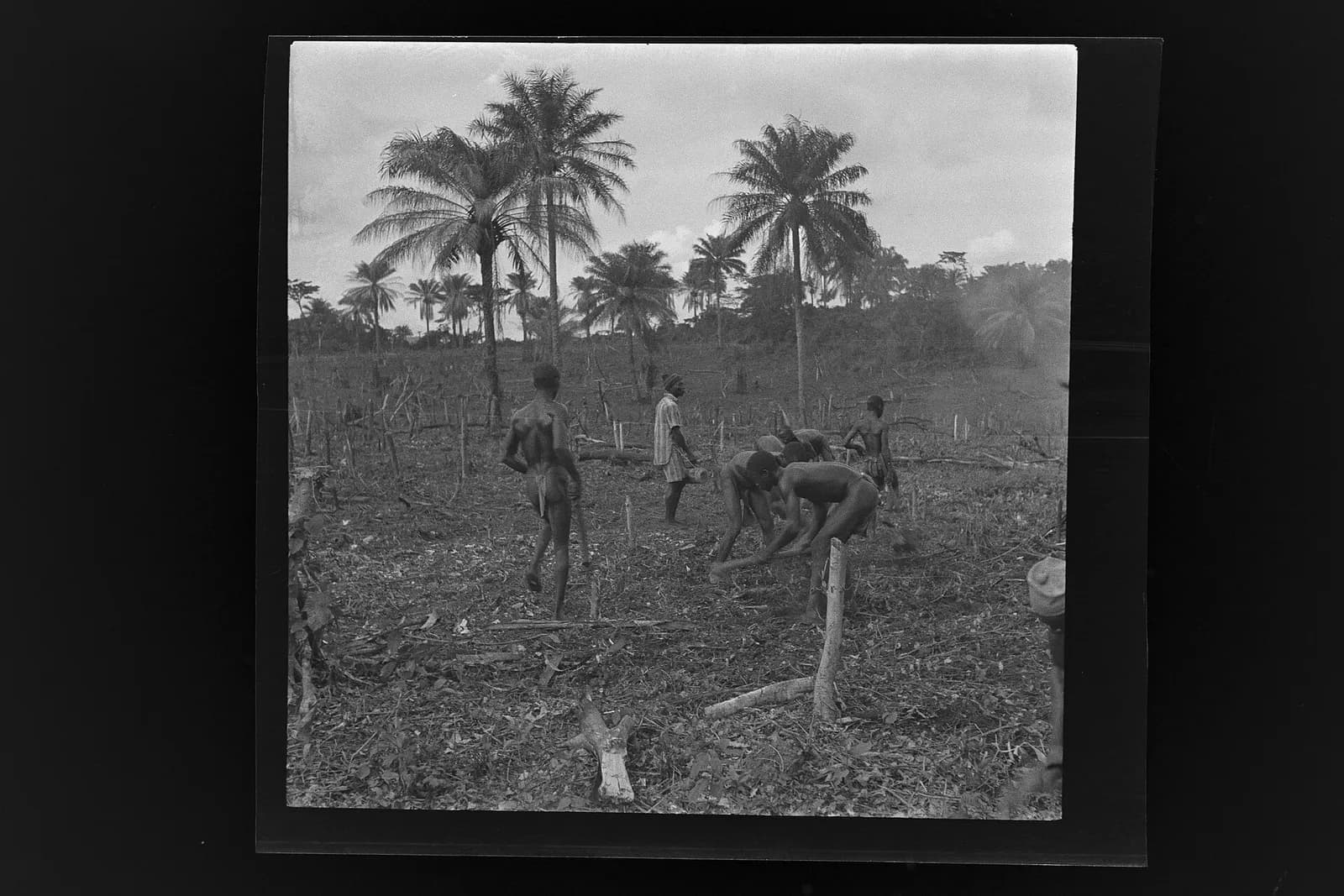 SierraLeone Hofstra 112