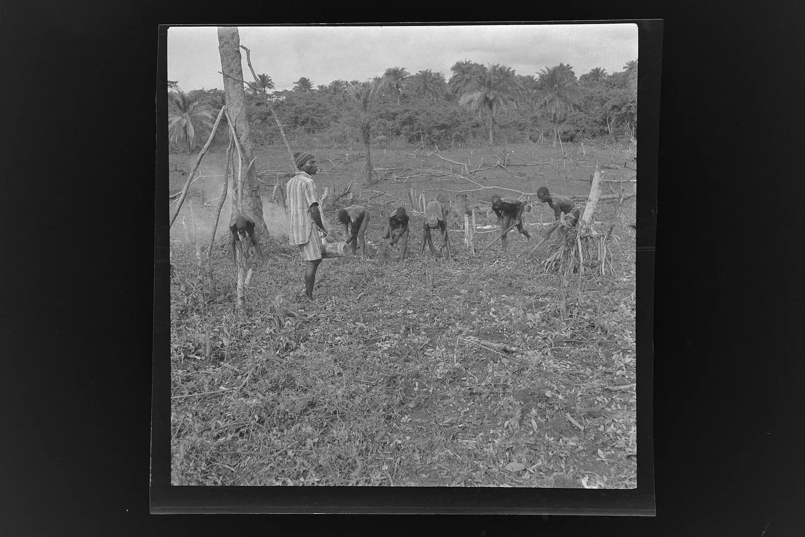 SierraLeone Hofstra 117