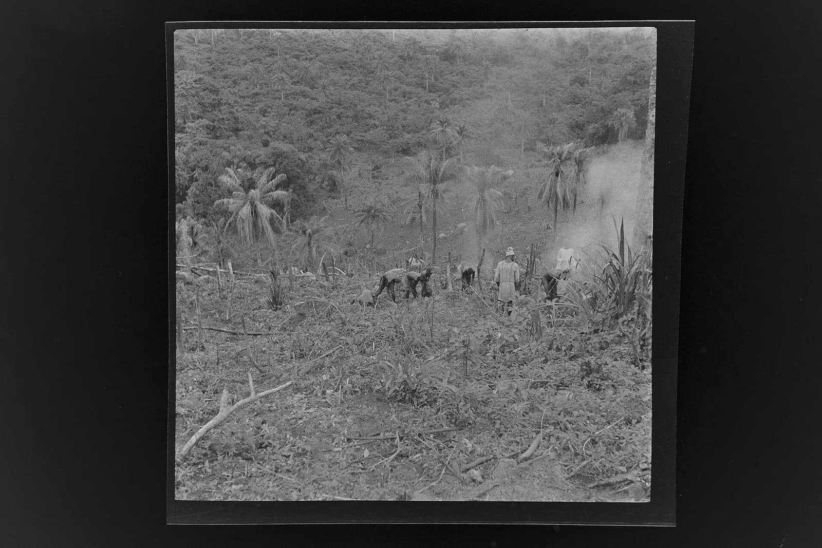 SierraLeone Hofstra 141