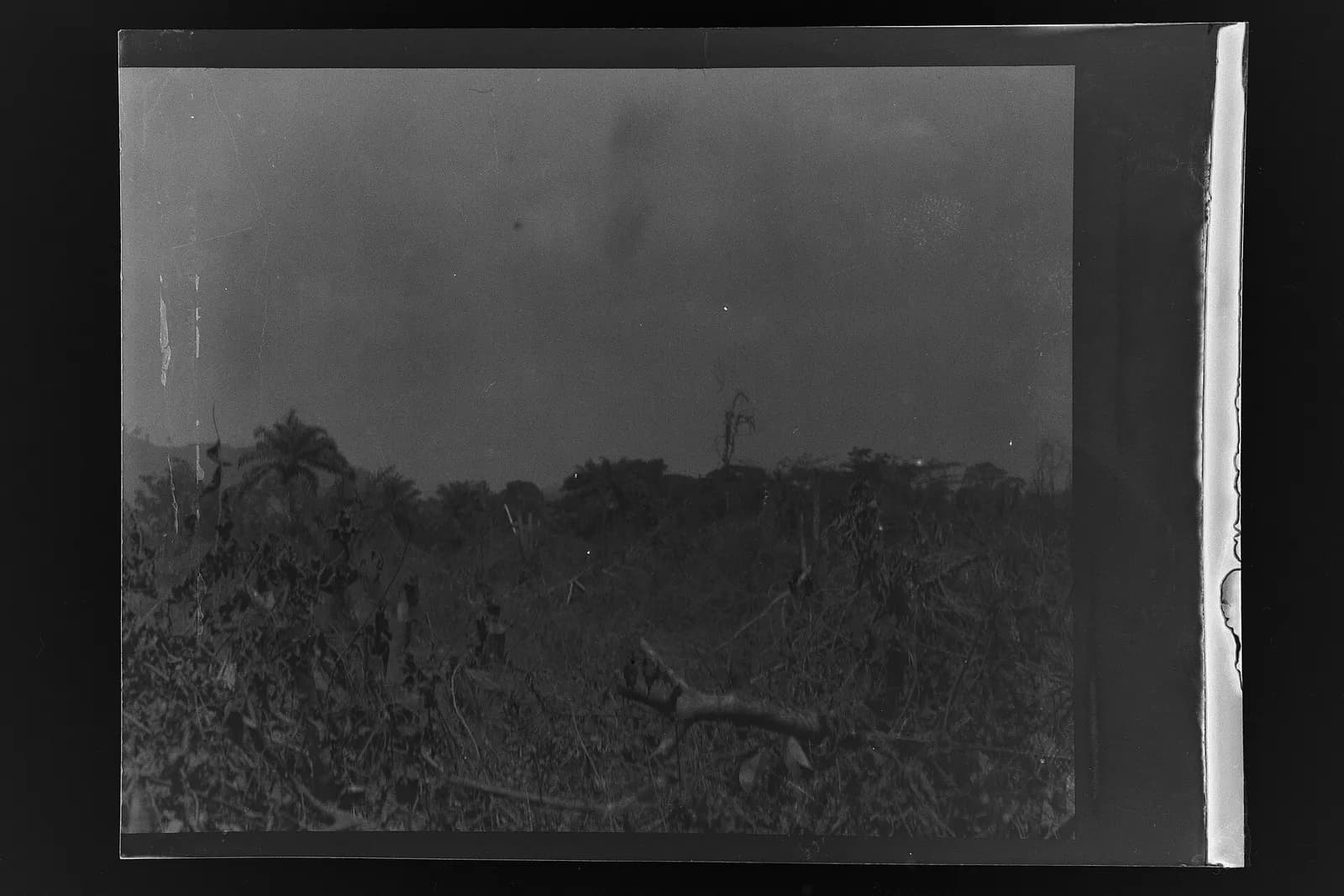 SierraLeone Hofstra 197