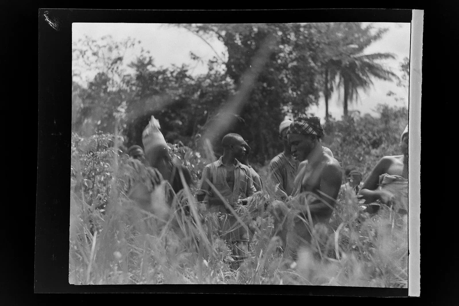 SierraLeone Hofstra 210