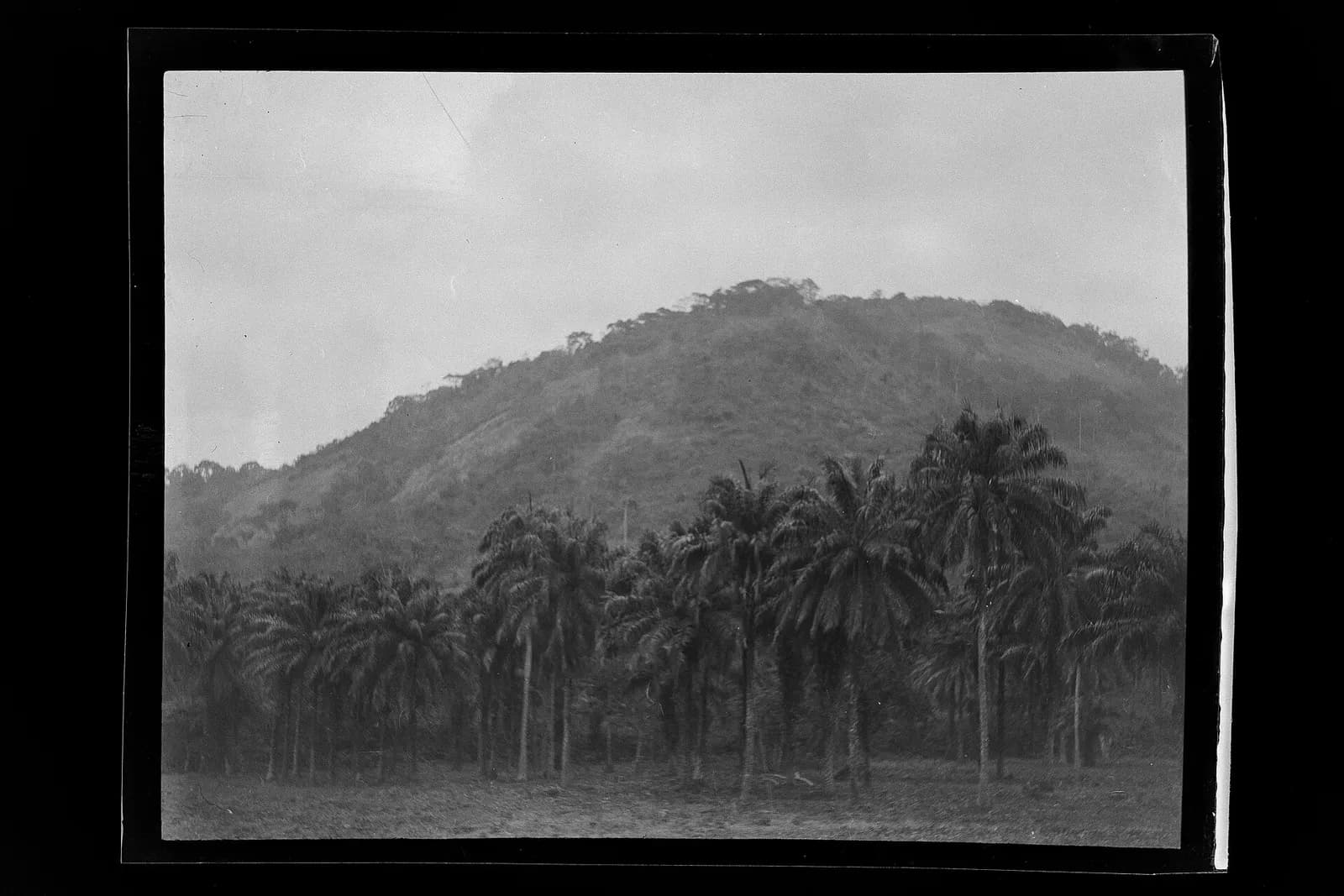 SierraLeone Hofstra 214